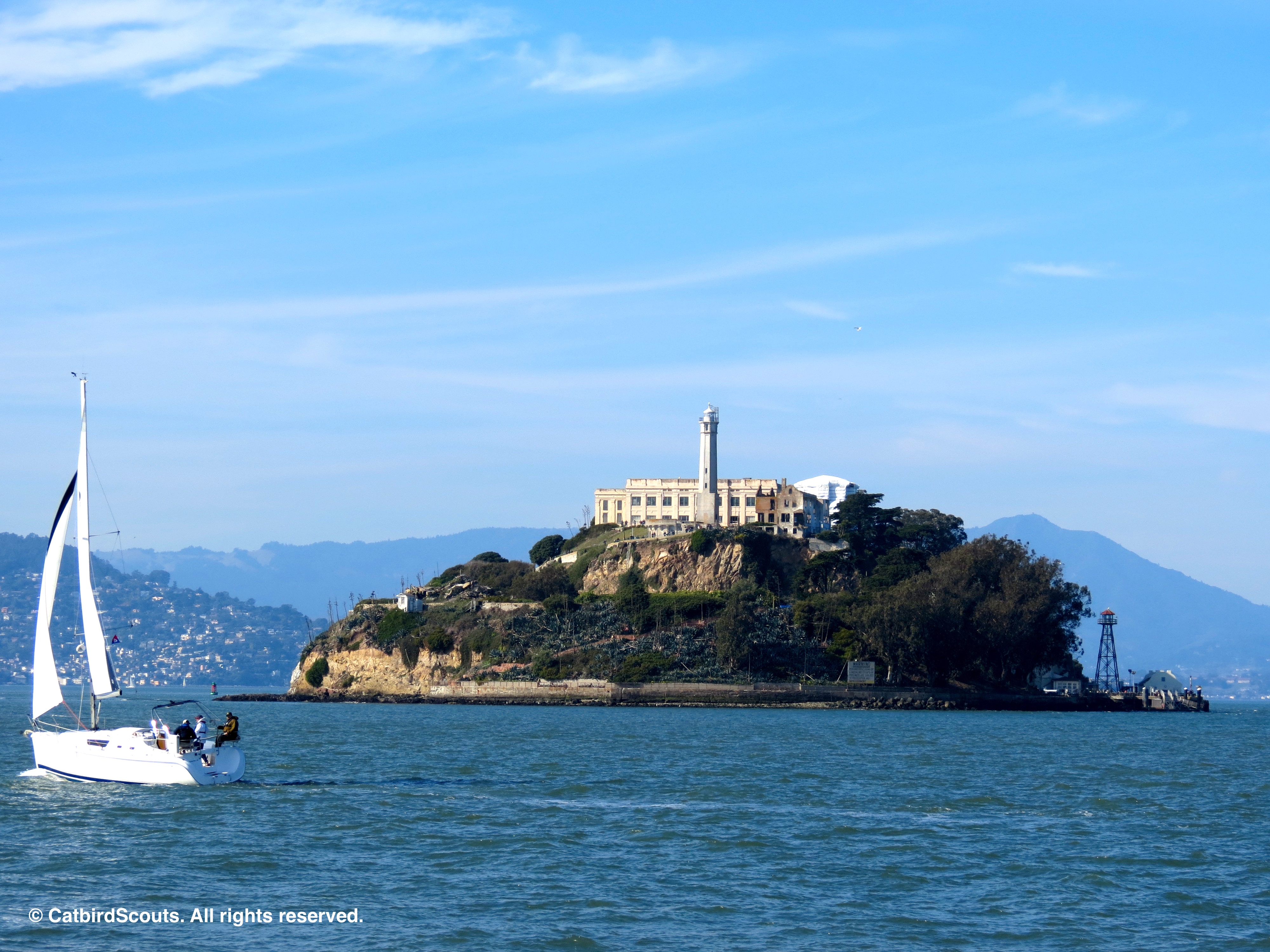 Alcatraz-Catbird-Scouts