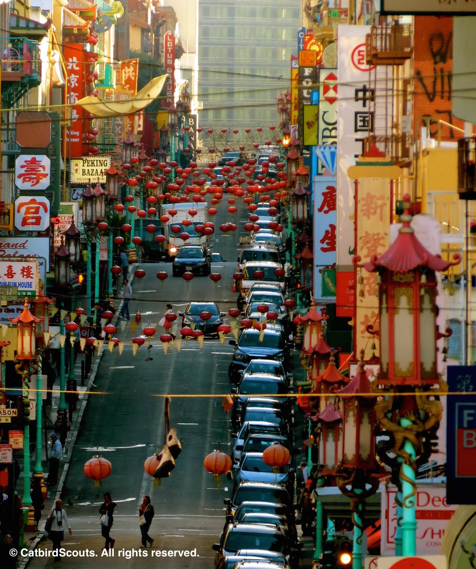 Chinatown-SF-Catbird-Scouts,jpg