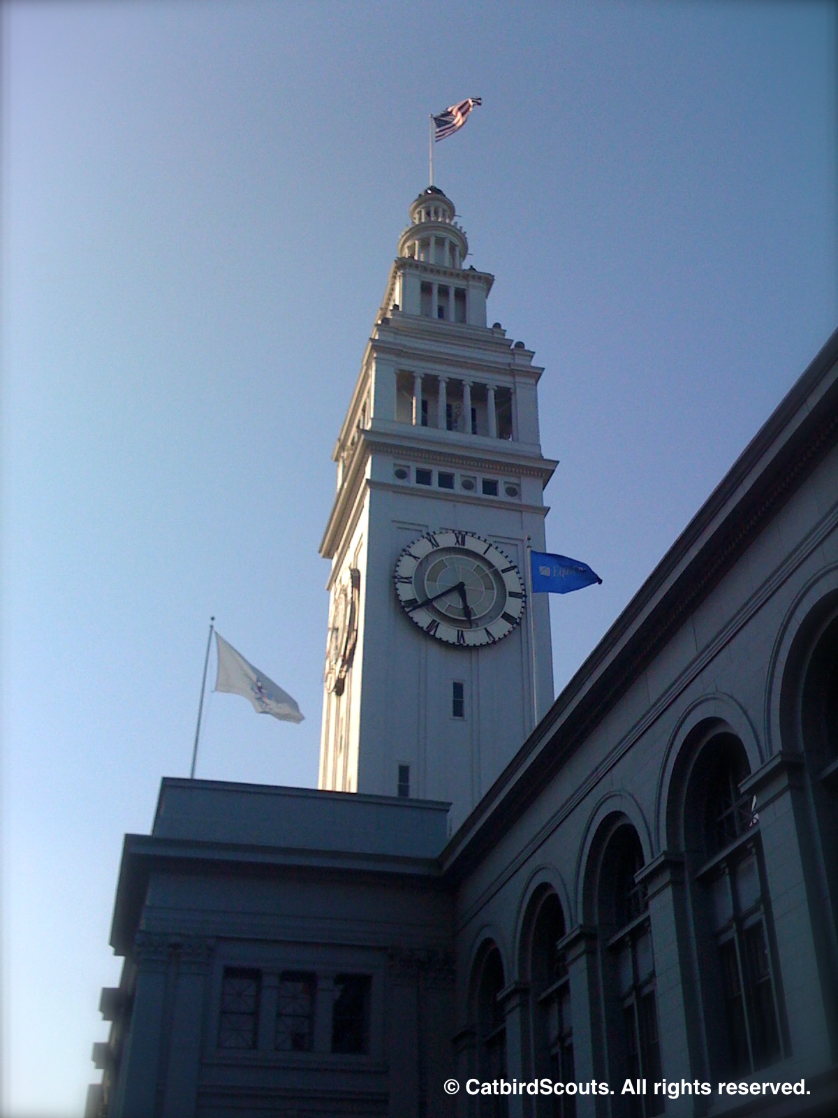 FerryBuilding-Catbird-Scouts