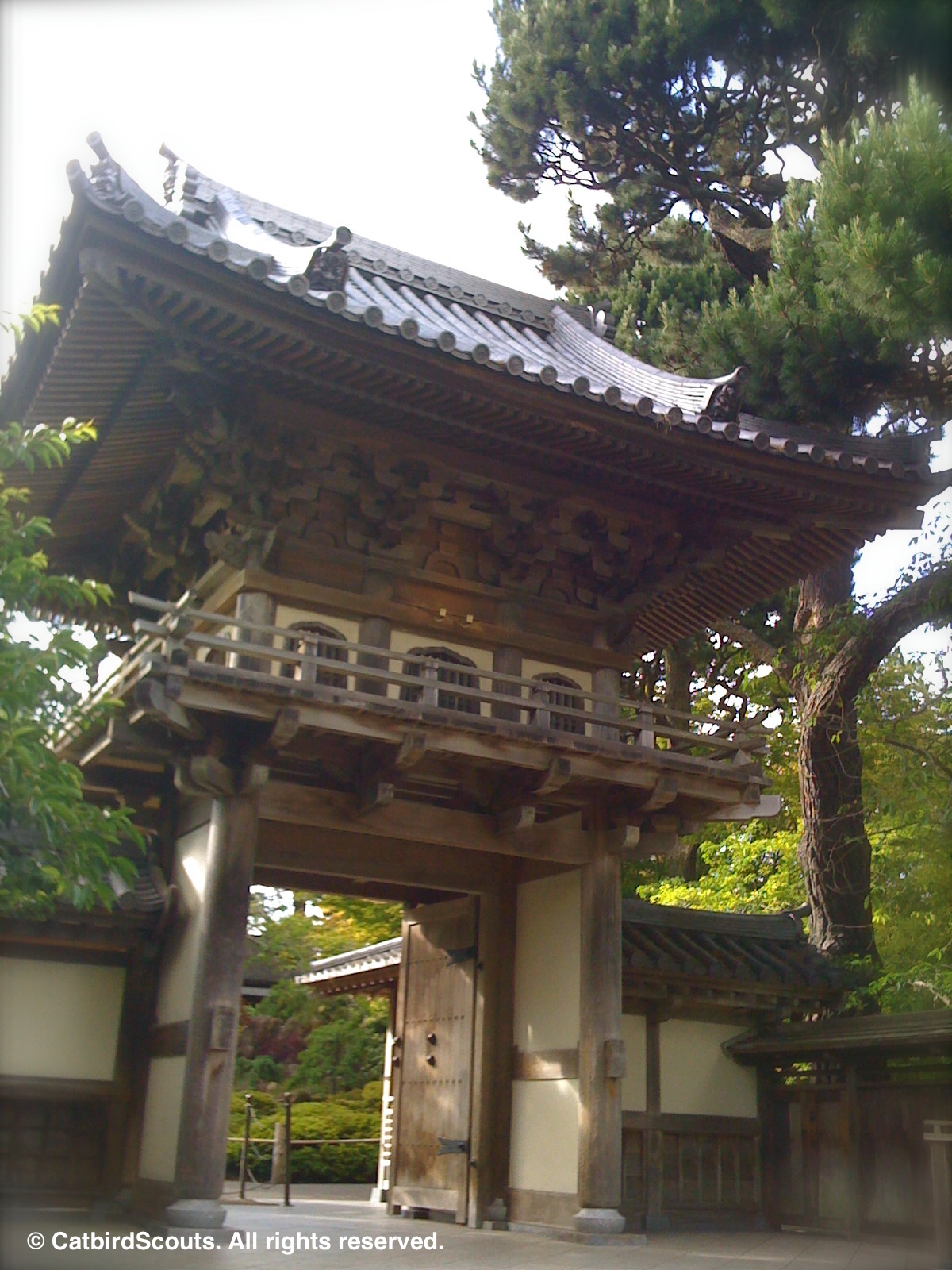 JapaneseTeaGarden-Catbird-Scouts