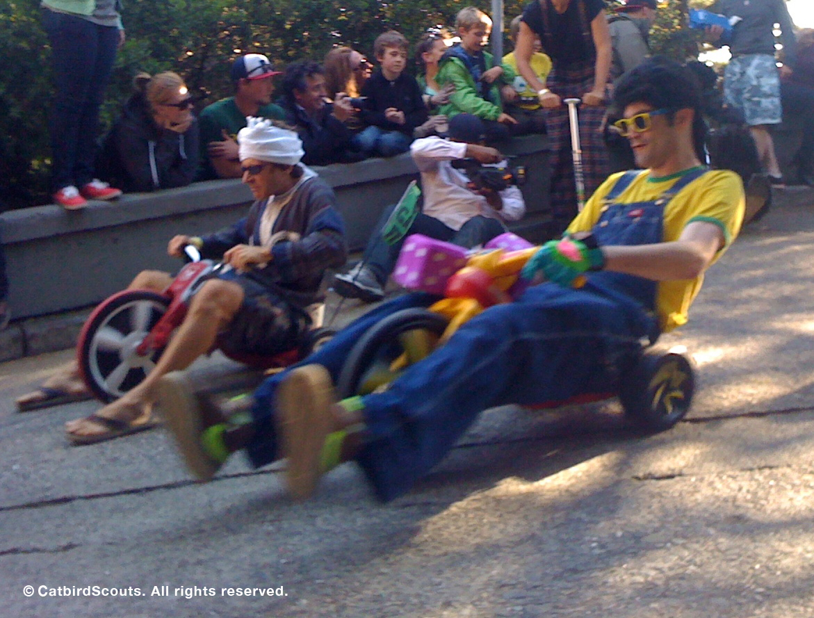 BYOBW-Catbird-Scouts - Copy