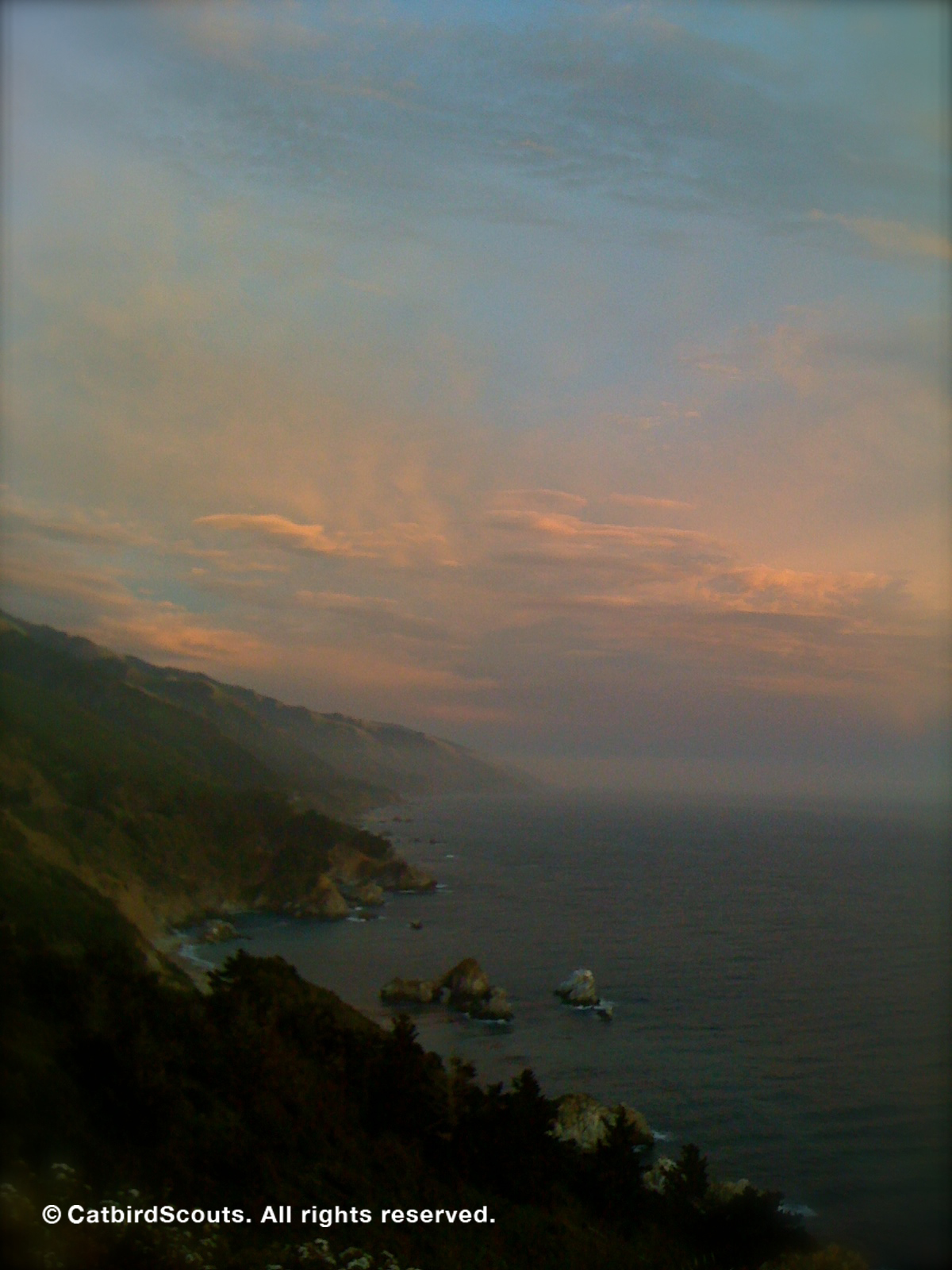 BigSurSunset-Catbird-Scouts - Copy