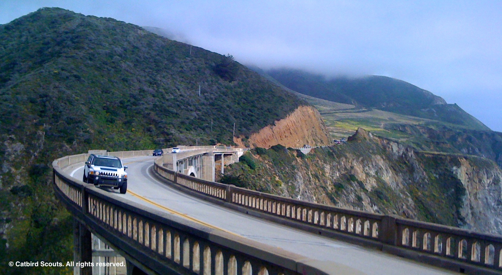 BixbyBridge-Catbird-Scouts