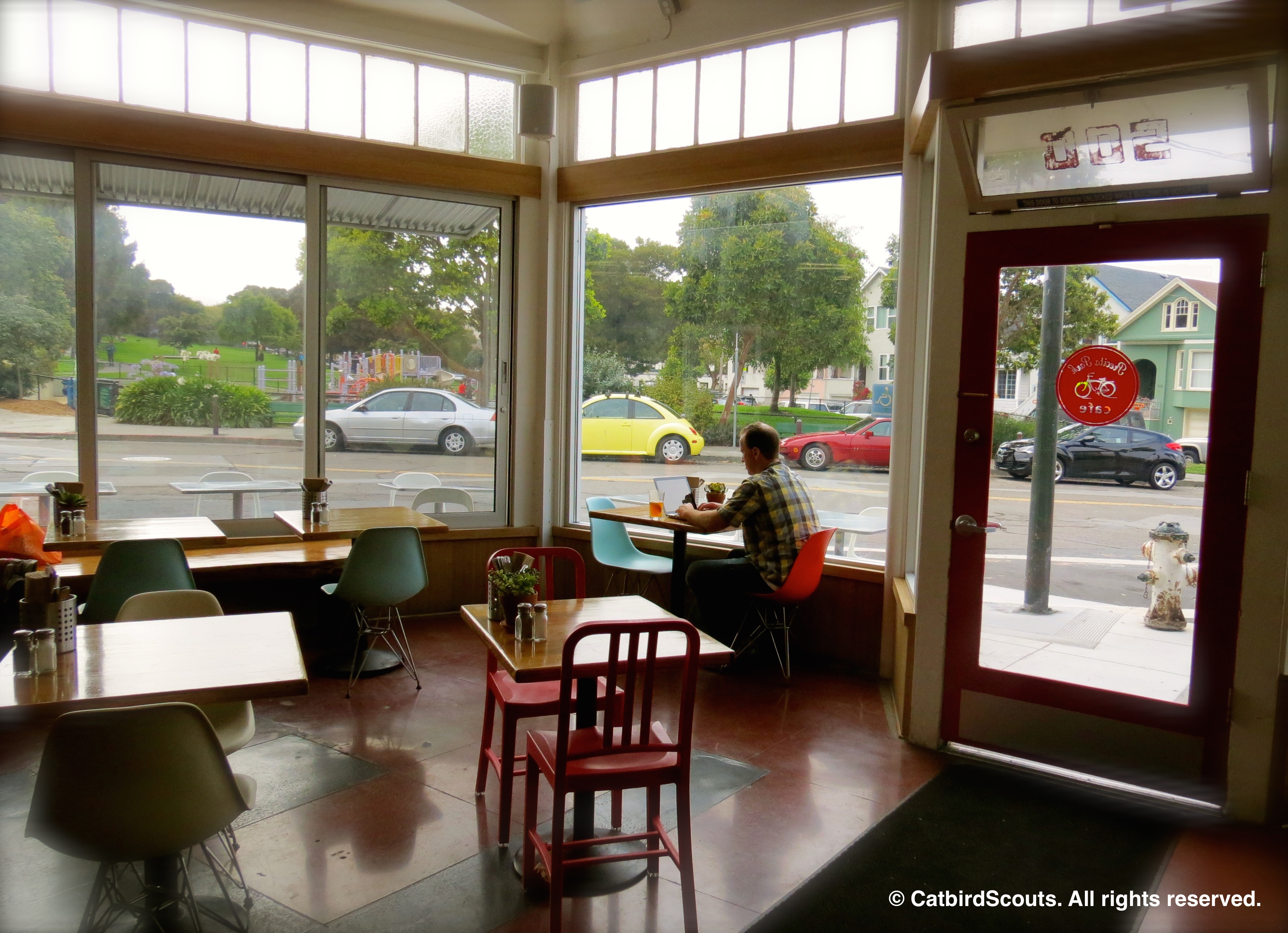 CoffeeShop-Catbird-Scouts