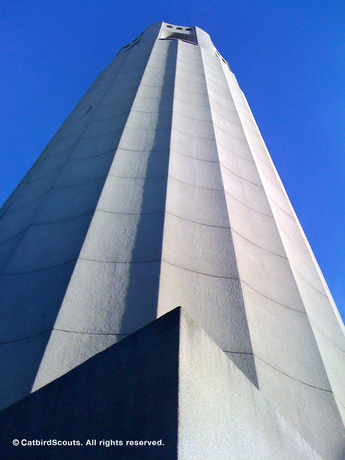 CoitTower-upshot-Catbird-Scouts - Copy
