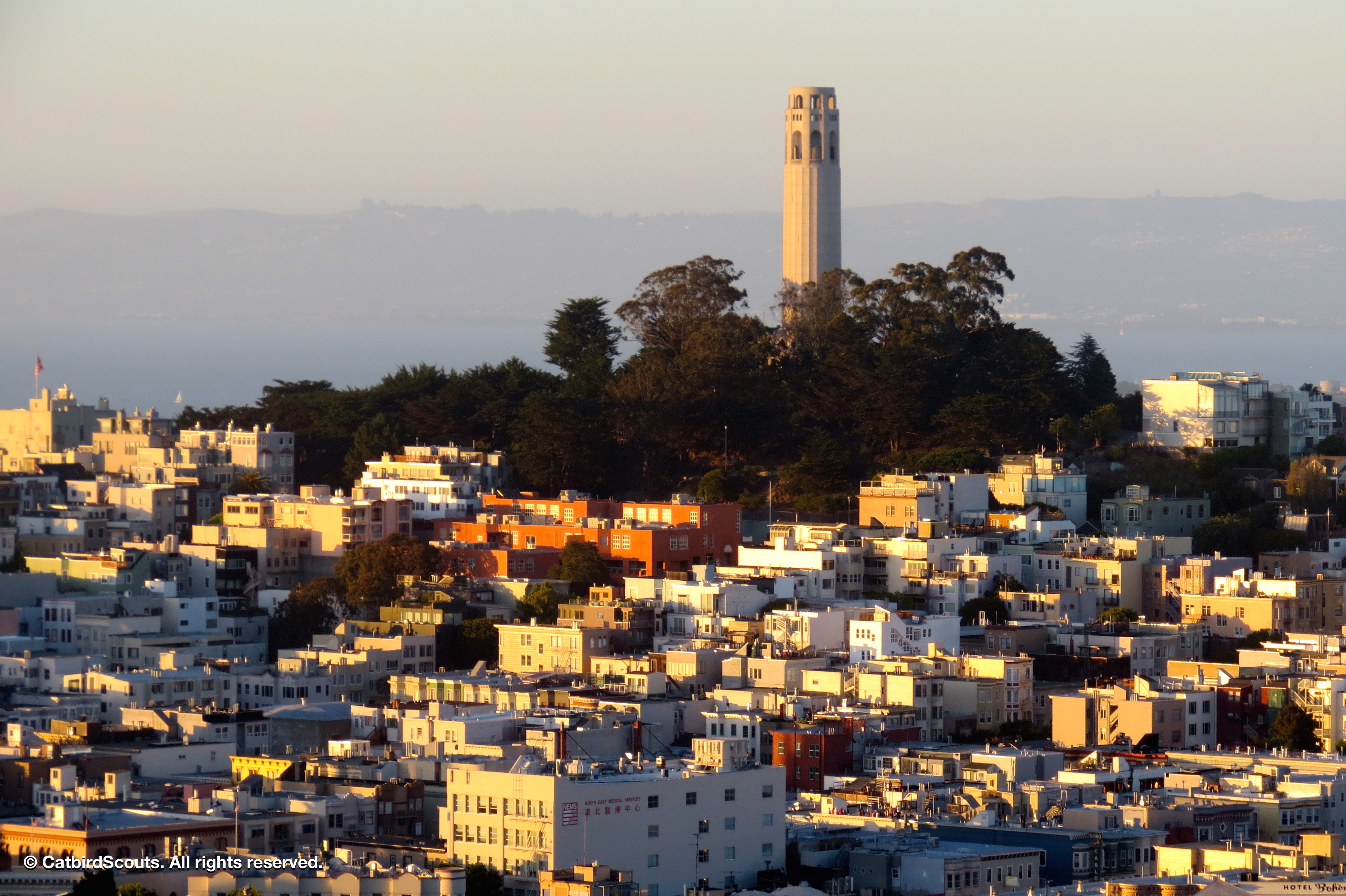 CoitTower_9286-CabirdScouts