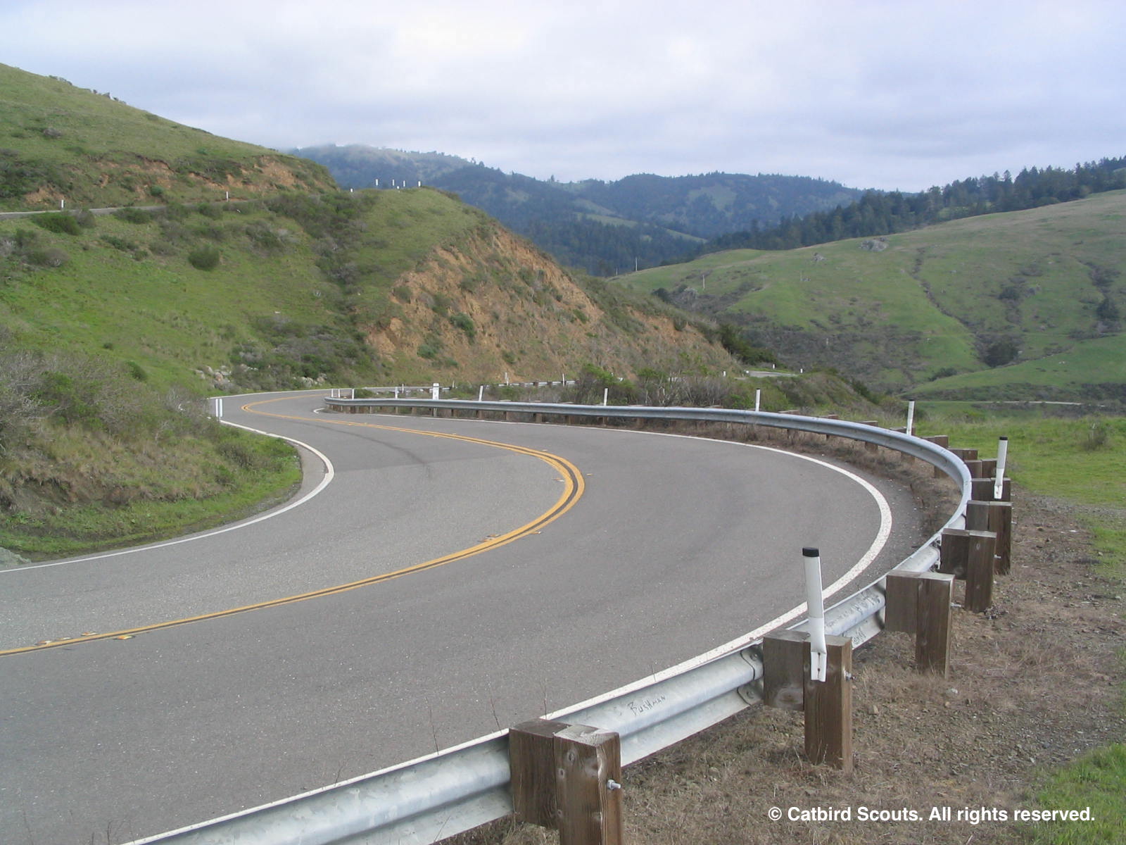 Hwy1Curve-Catbird-Scouts