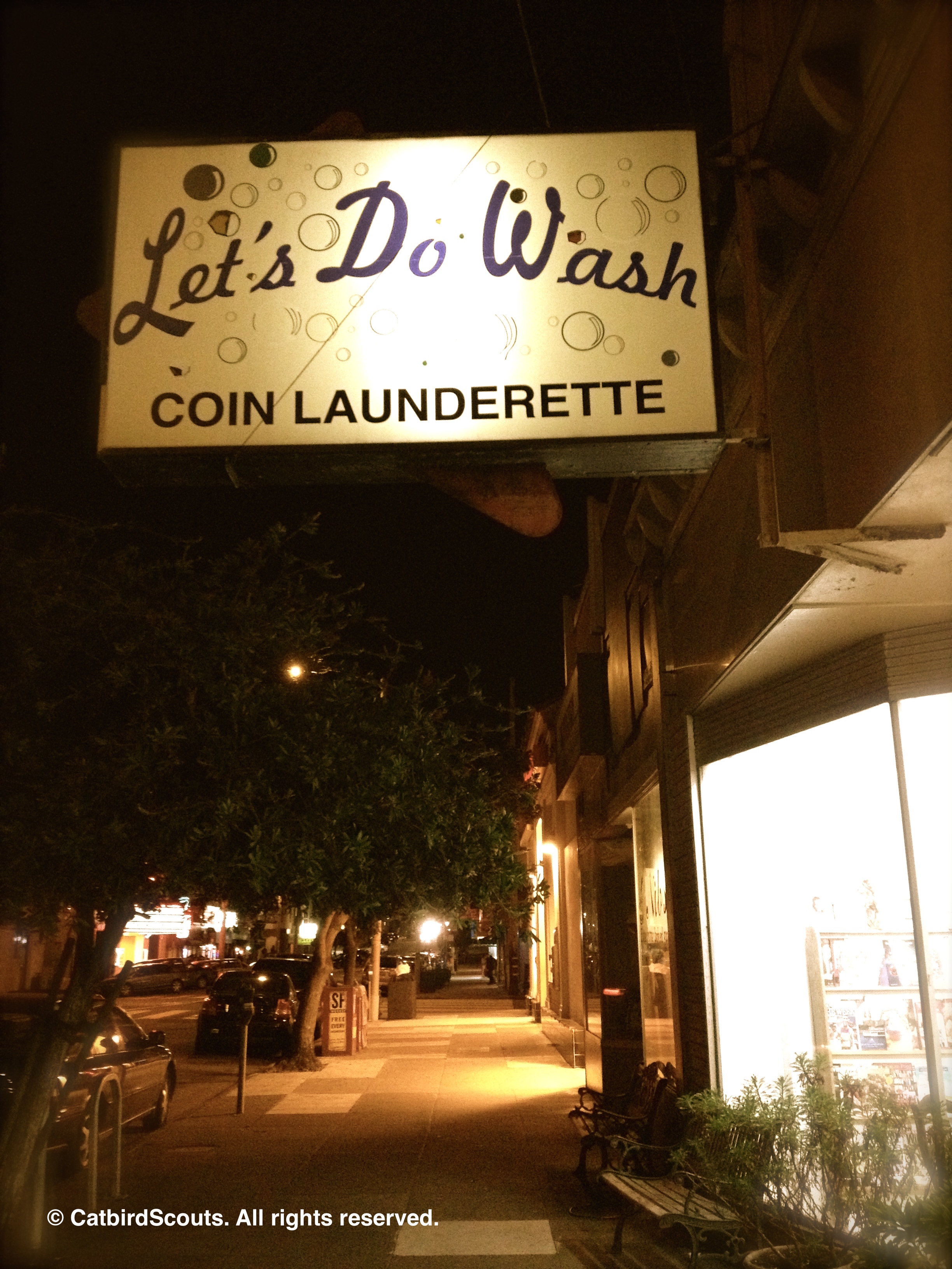 LetsDoWash-Catbird-Scouts