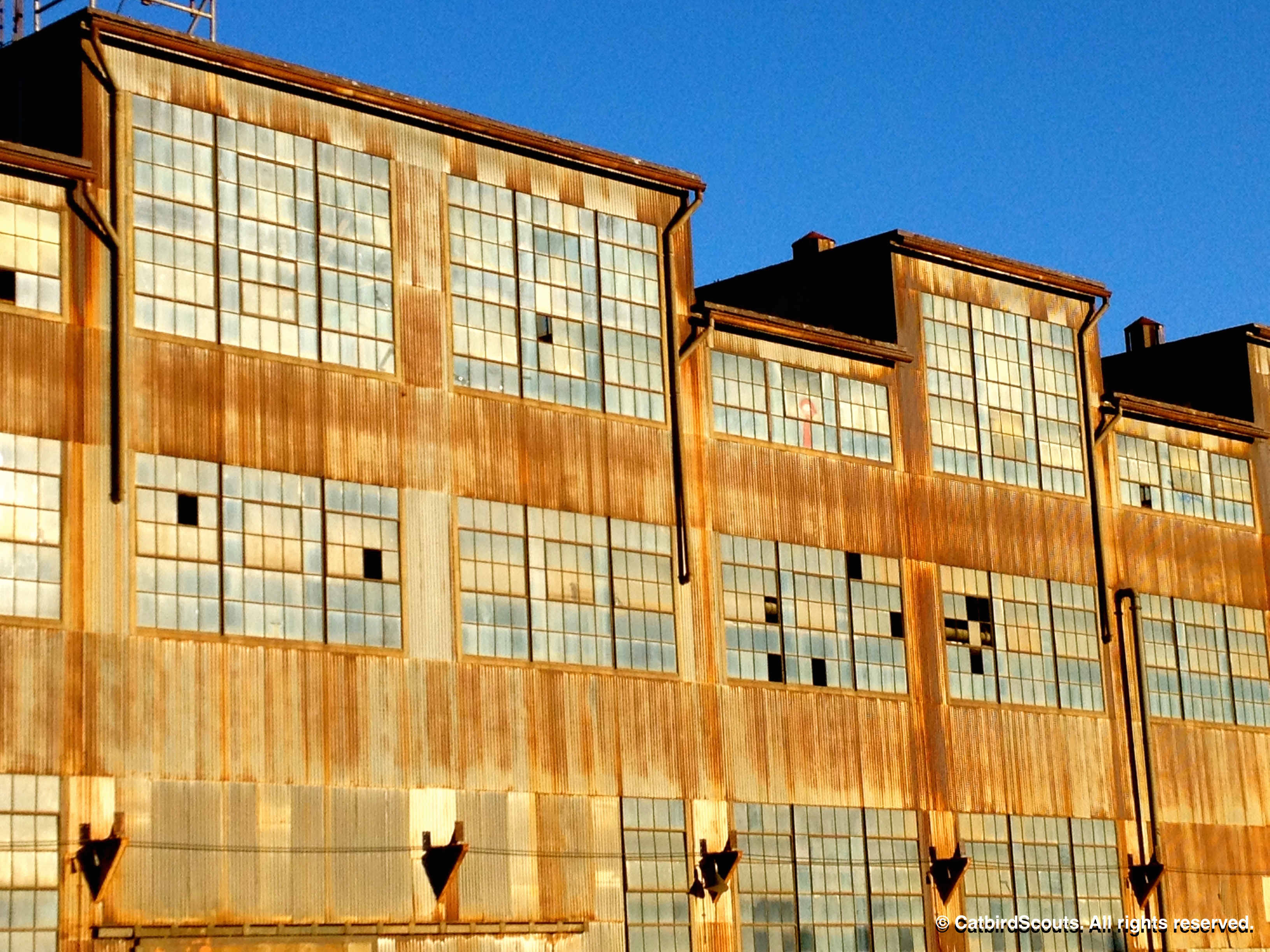 Pier70-Catbird-Scouts