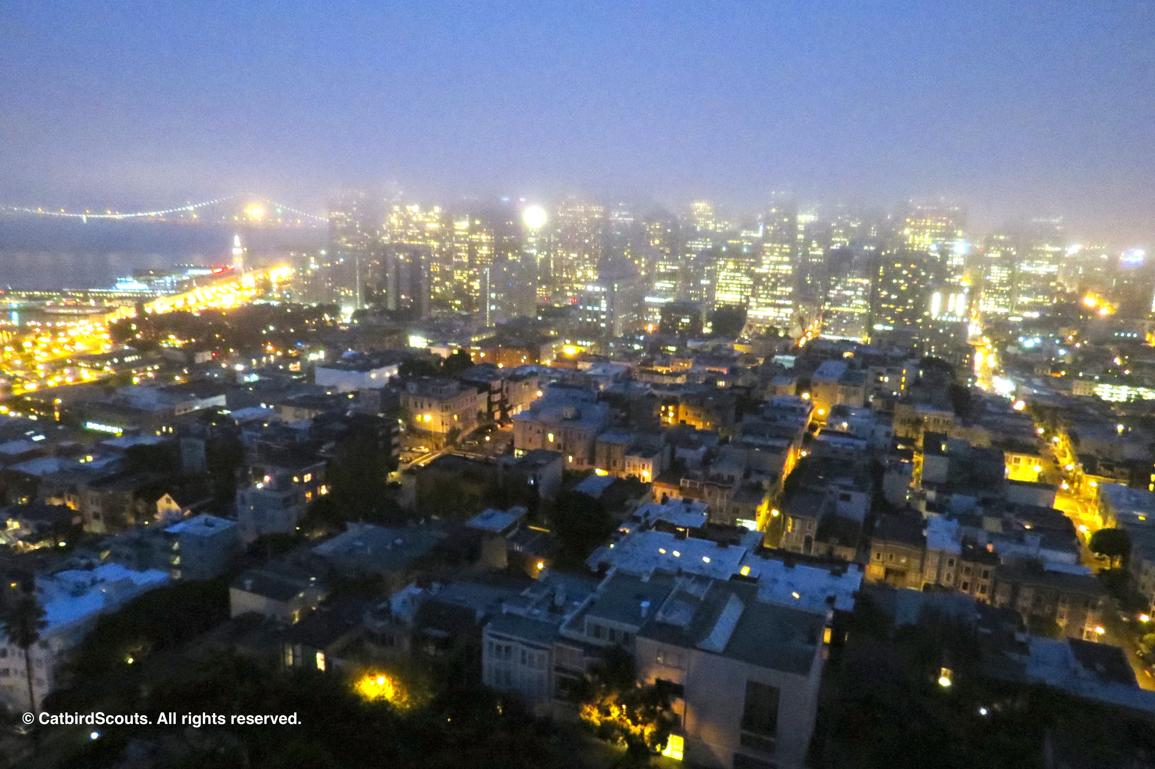 SF-NightimeView-Catbird-Scouts