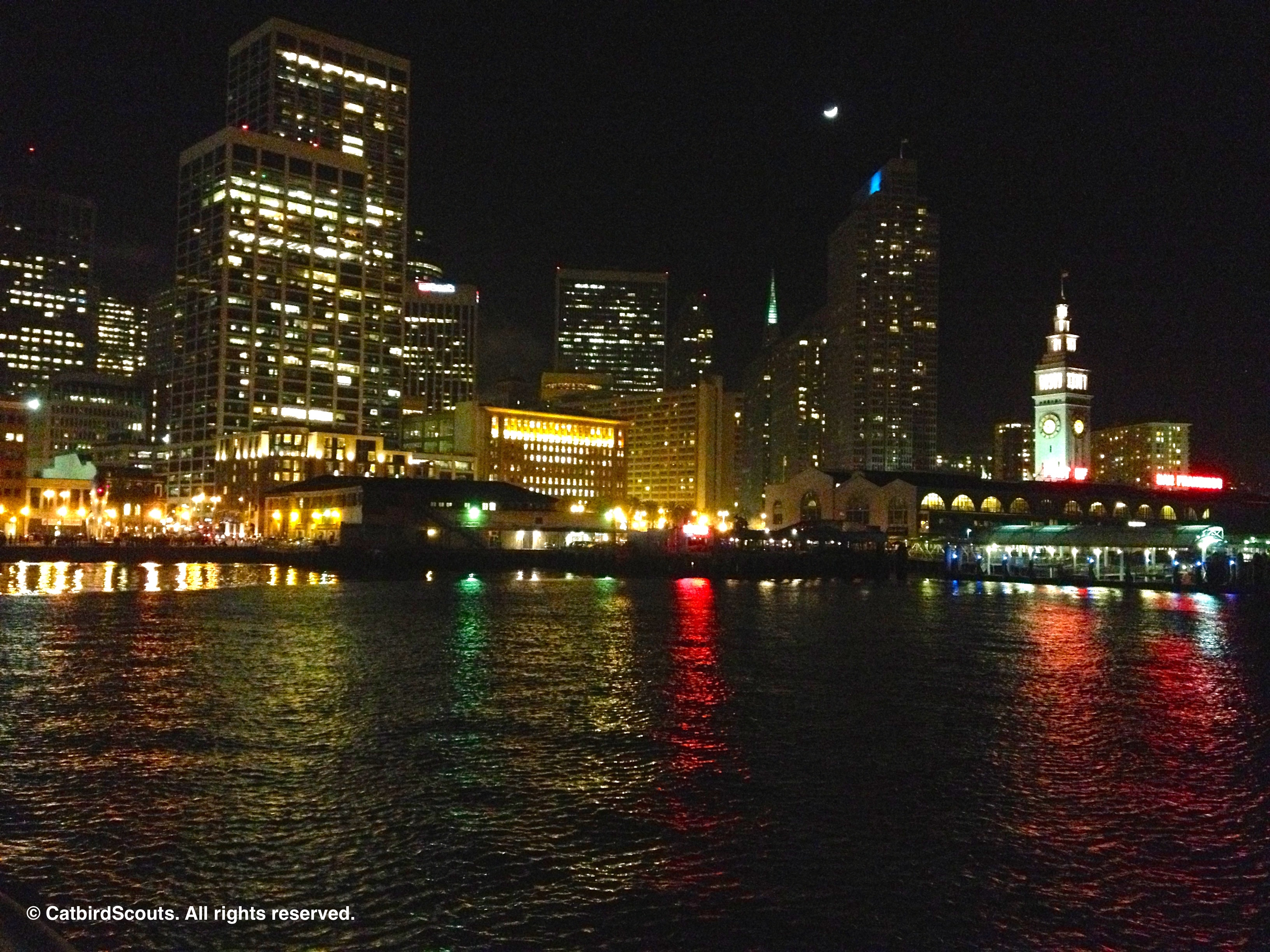 SFSkyline-Night-Catbird-Scouts