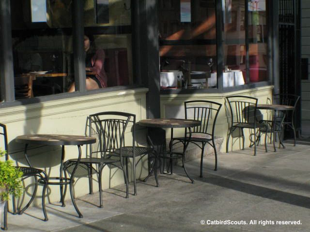 SidewalkCafe-Catbird-Scouts