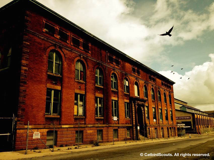 Urban-Factory1-CatbirdScouts
