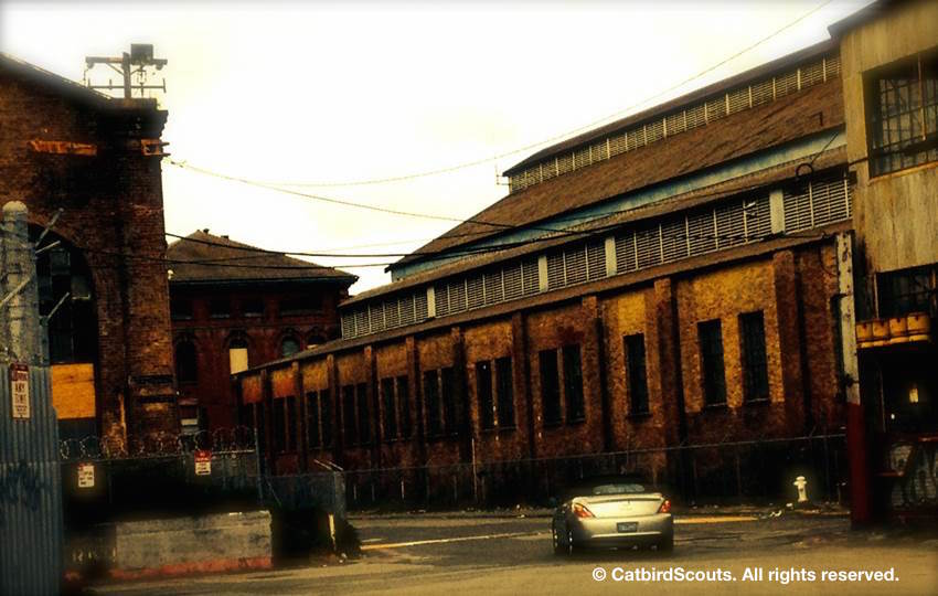 Urban-Factory2-CatbirdScouts